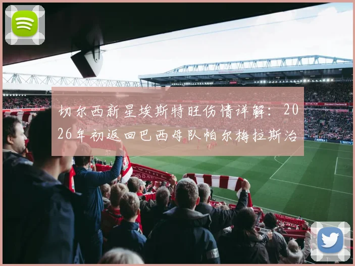 切尔西新星埃斯特旺伤情详解:2026年初返回巴西母队帕尔梅拉斯治疗,最新进展与未来前景分析