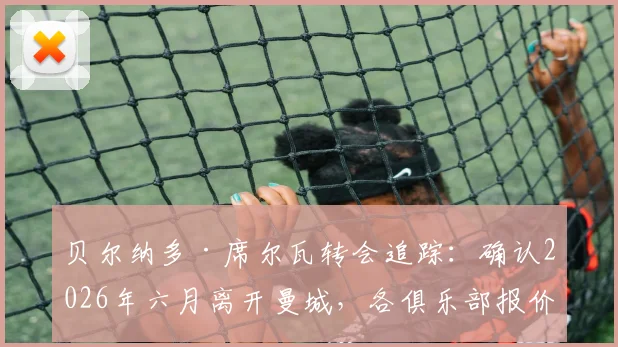 贝尔纳多·席尔瓦转会追踪:确认2026年六月离开曼城,各俱乐部报价评估中,潜在下家巴黎巴萨谁更合适?