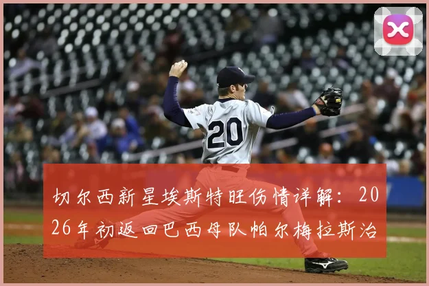 切尔西新星埃斯特旺伤情详解：2026年初返回巴西母队帕尔梅拉斯治疗，最新进展与未来前景分析